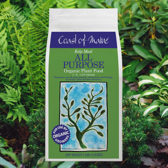 Coast of Maine Kelp Meal, All-Purpose Organic Plant Food for Root and Plant Growth, 4lb