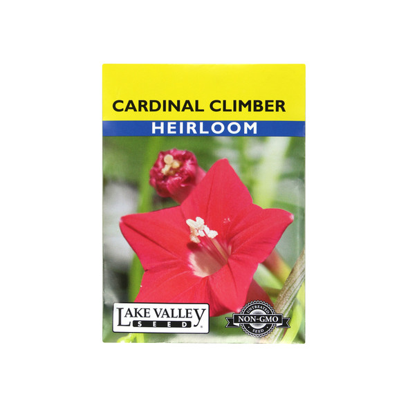 Lake Valley Seed Cardinal Climber Heirloom Seeds, 1g