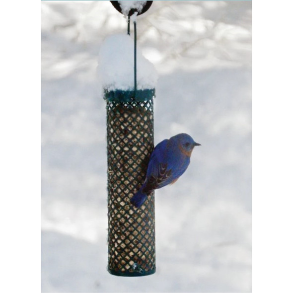 C & S Berry Flavored Wild Bird Suet Nuggets, Resealable Bag, 27 oz