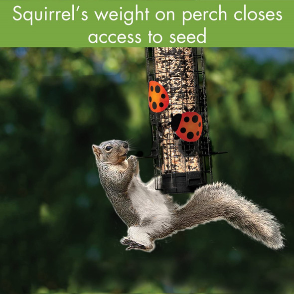 WoodLink Audubon Collection Squirrel-Resistant Ladybug Bird Tube Feeder, 18-in.