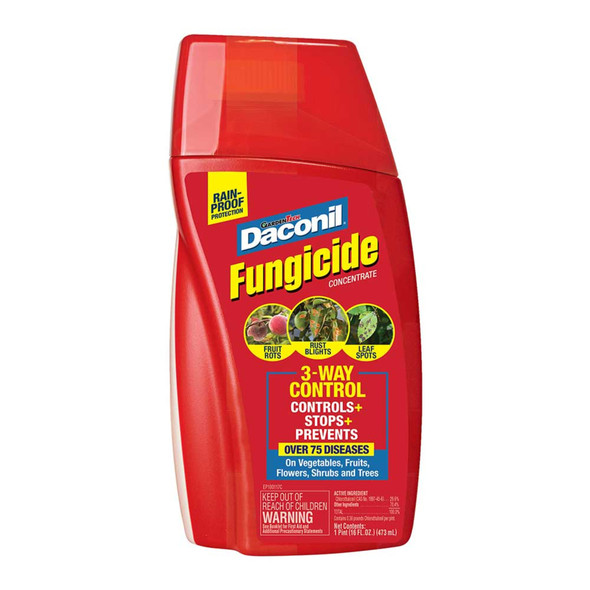 Daconil Rain-Proof Fungicide 3-Way Control Concentrate, 16 fl oz