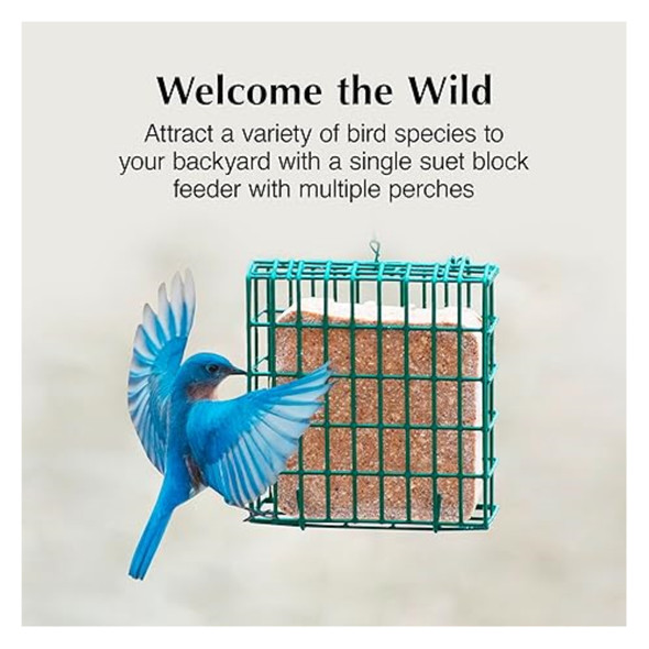 C&S EZ Fill Suet Basket — Vinyl-Coated Wire Hanging Wild Bird Feeder — Green, 5.25"