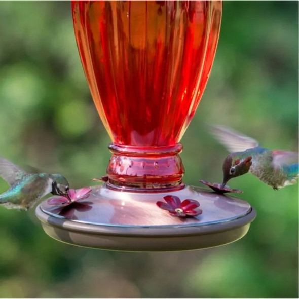 Perky-Pet Starburst Vintage Glass Hummingbird Feeder 8139-2, Blue