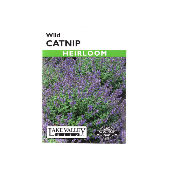 Lake Valley Seed Catnip Wild Heirloom, 0.25g