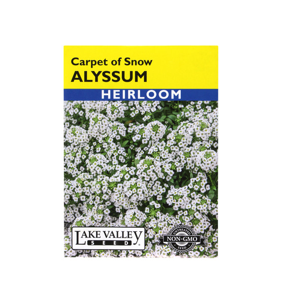 Lake Valley Seed Alyssum, Carpet of Snow Flower, 2g