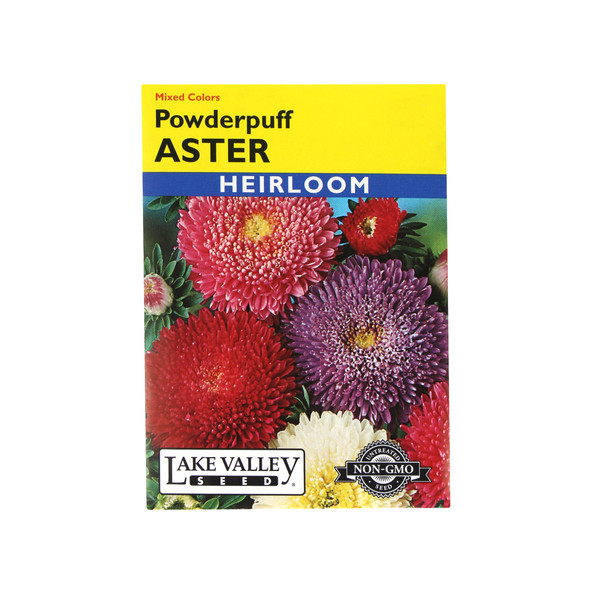 Lake Valley Seed Aster, Powderpuff, 0.5g