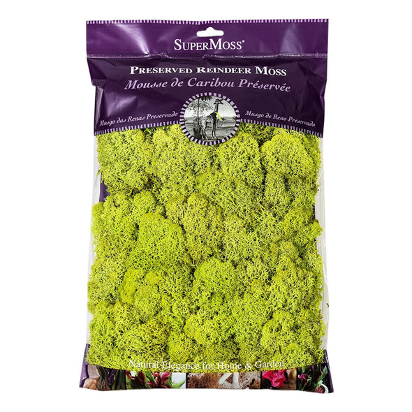Super Moss Preserved Reindeer Moss, Chartreuse, 8oz (200 cu in)