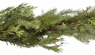 Potomac Flowers 25 Foot Fresh Holiday Cedar and Douglas Fir Garland