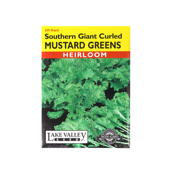 Mustard Southern Giant Curled