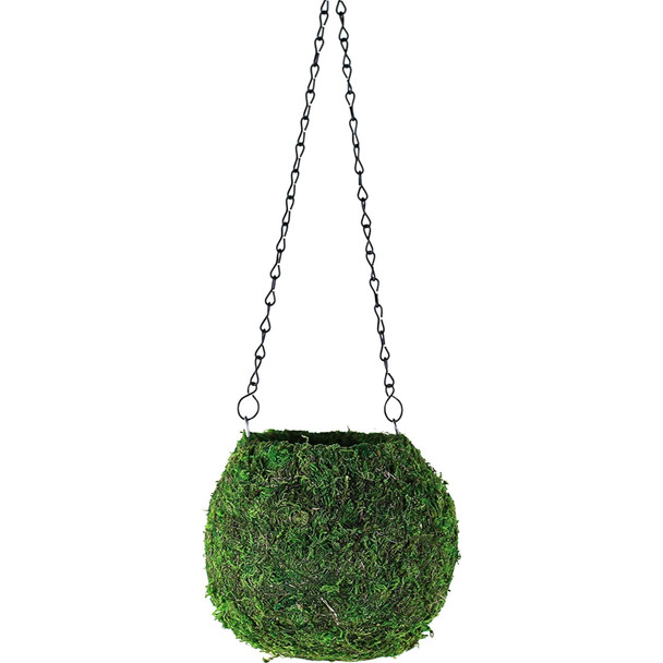 Bella Moss Kokedama Sphere Indoor/Outdoor Hanging Moss Planter, Green 6"