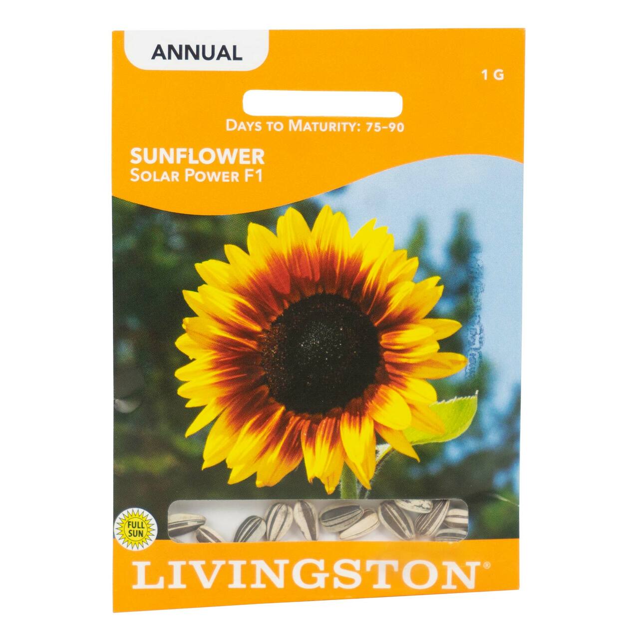 api3o5xhr__70093.1644927027.