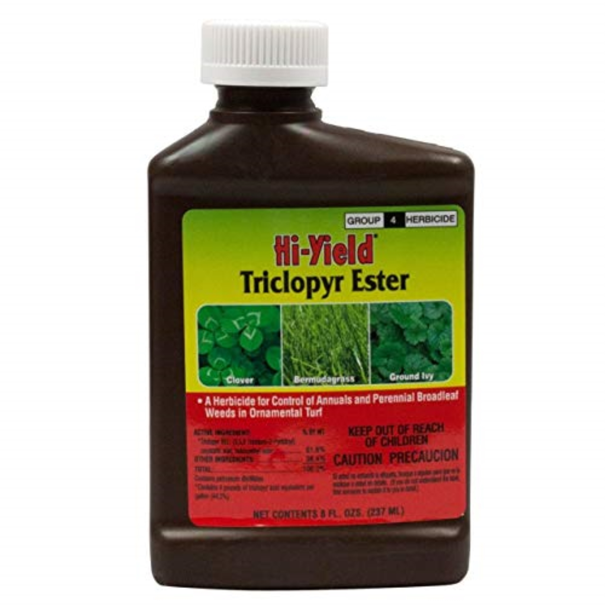 areca palm scientific name Explore Our Betelnut Palm Tree main image 0