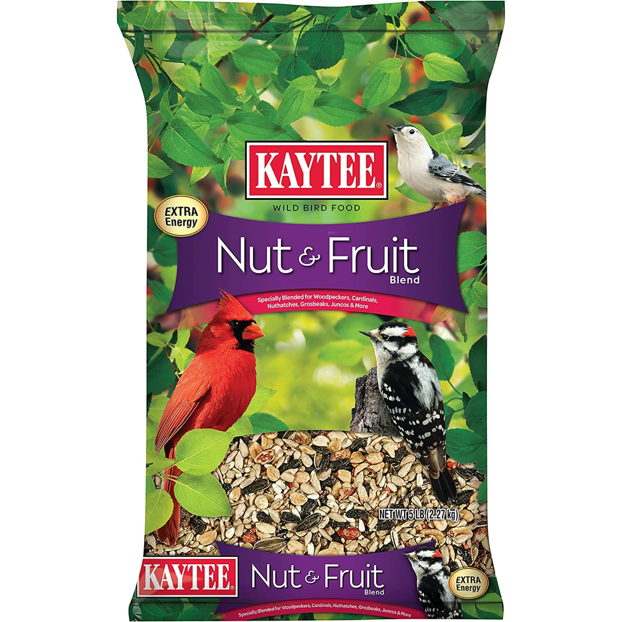 kaytee nyjer seed wild bird food