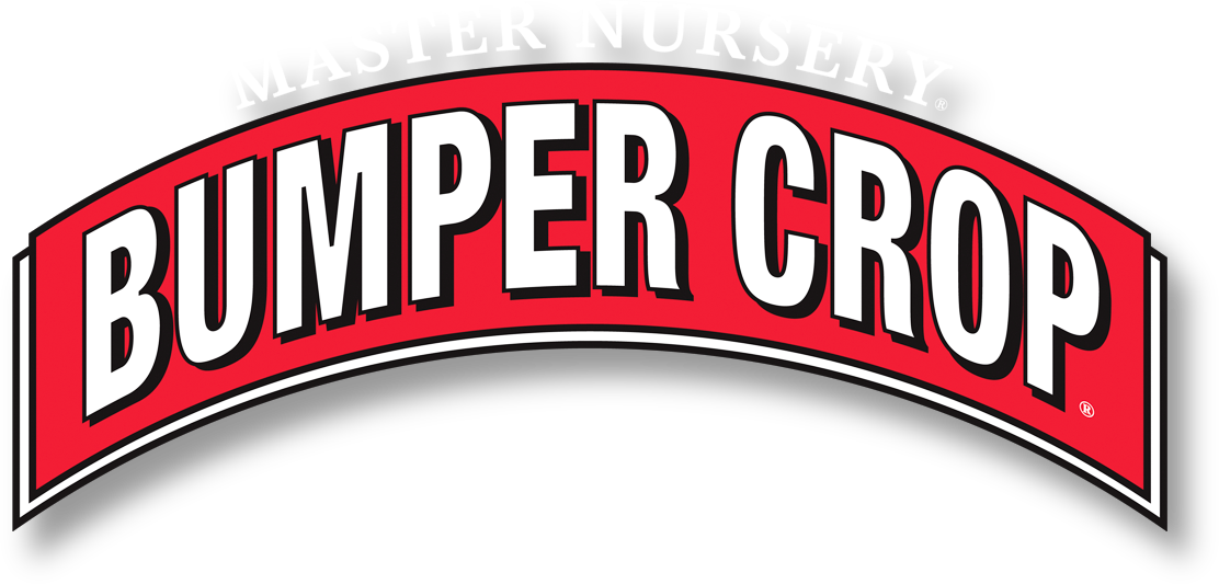 Bumper Crop Bumper Crop