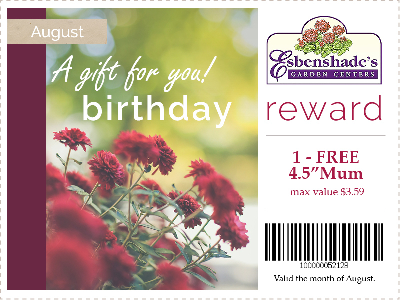 2024-august-birthday-coupon-2.jpg