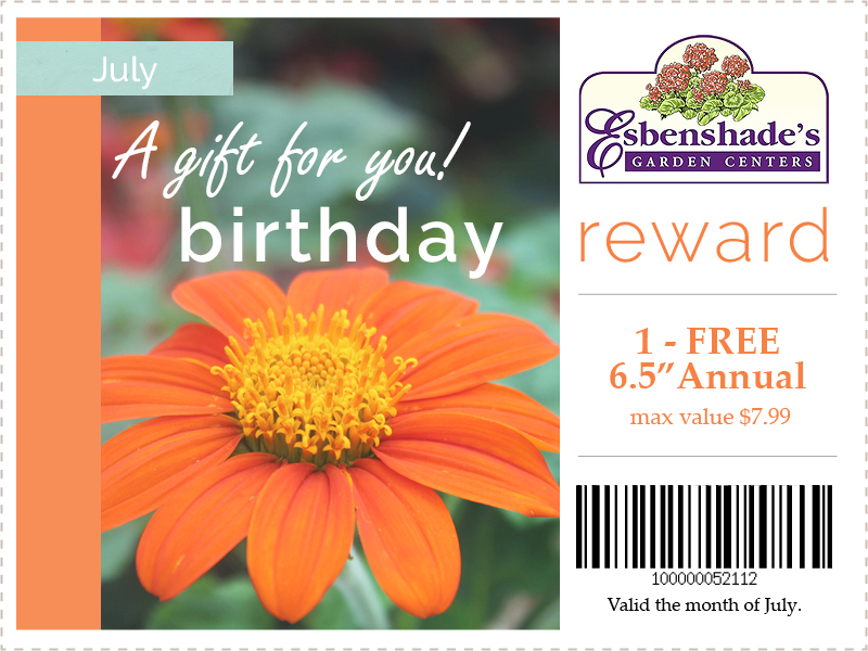 2024-july-birthday-coupon.jpg