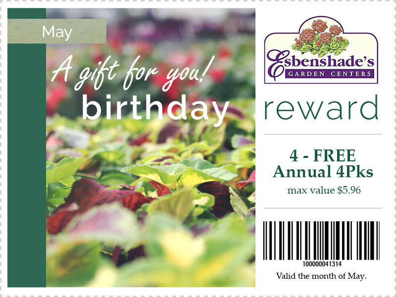2024-may-birthday-coupon.jpg
