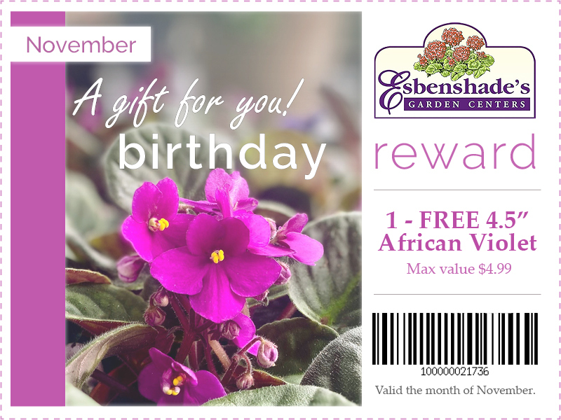 2024-november-birthday-coupon.jpg