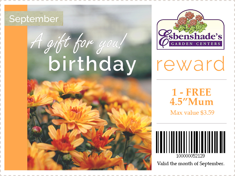 2024-september-birthday-coupon-2.jpg