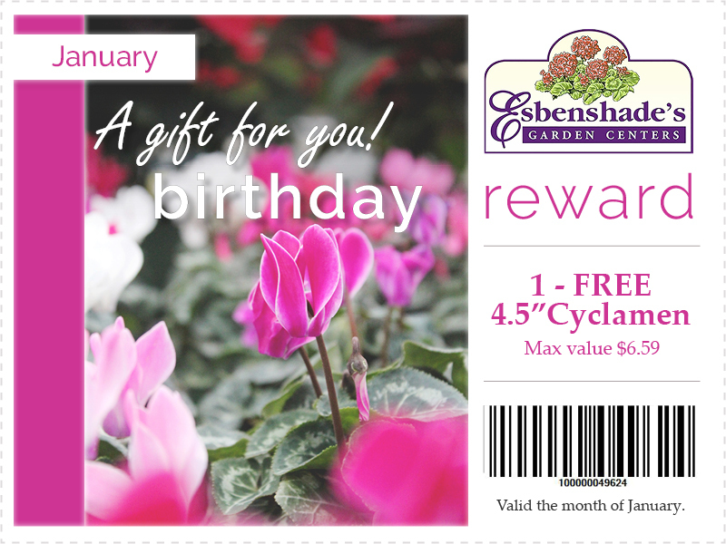 2025-january-birthday-coupon.jpg