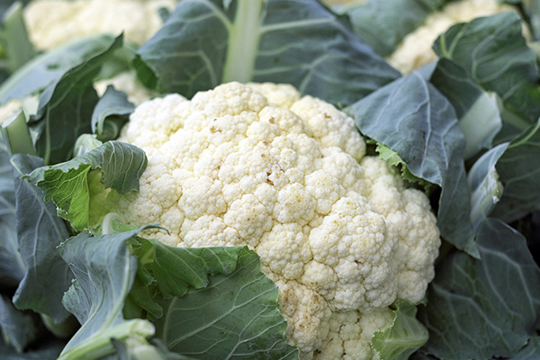 cauliflower-for-website.jpg