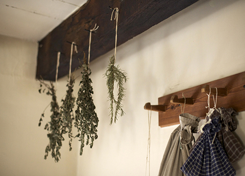 drying-herbs.jpg