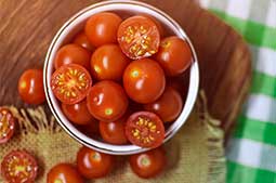 harvested-tomatoes.jpg