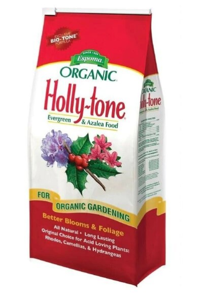 holly-tone.jpg