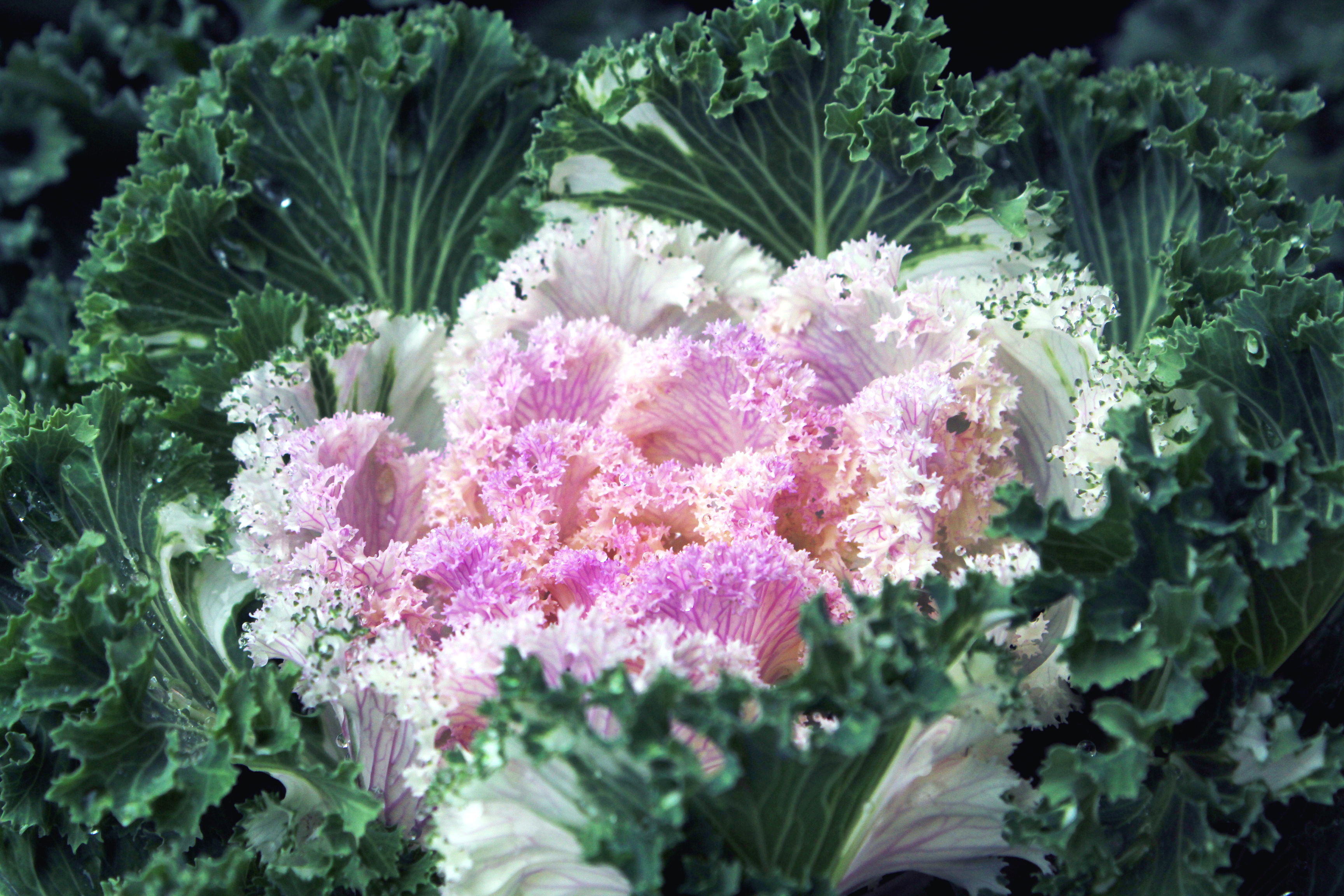 img-5654.jpg