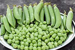 peas.jpg