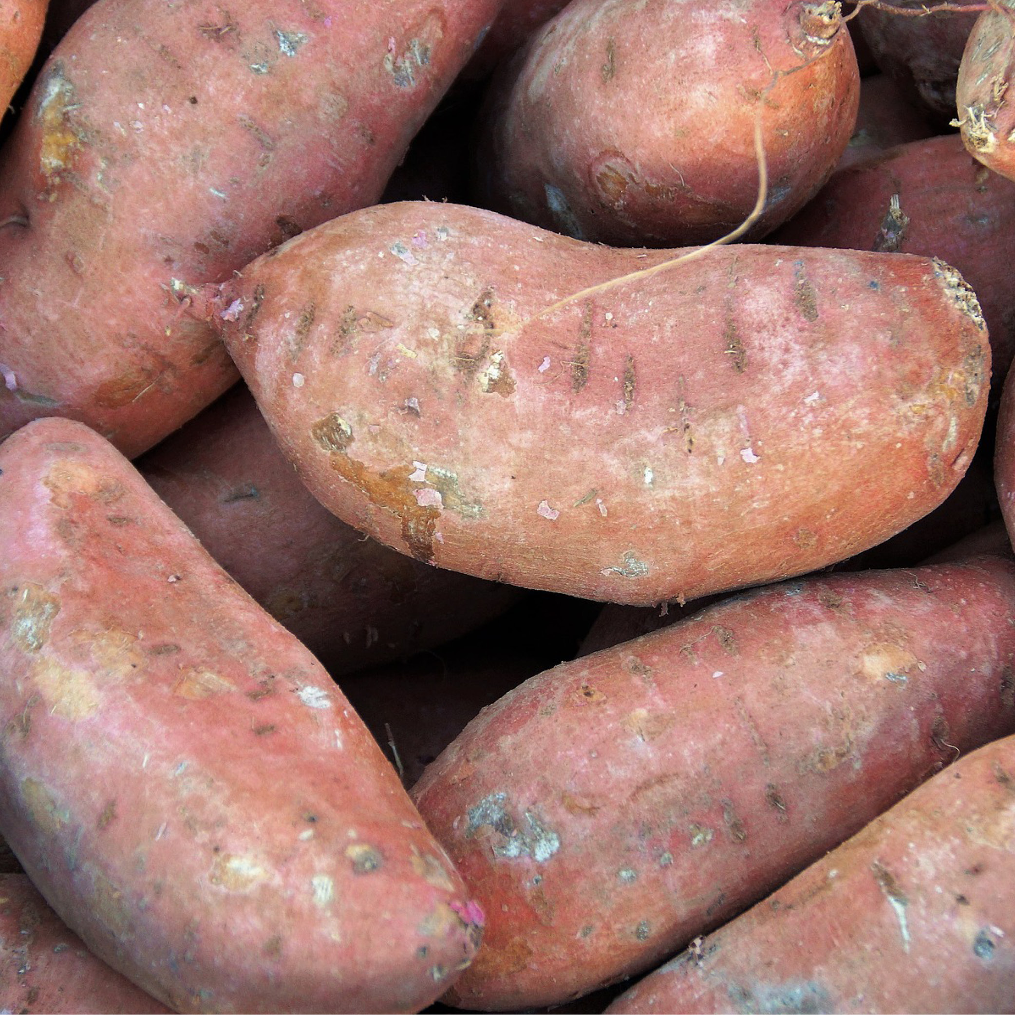 sweet-potatoes.jpg