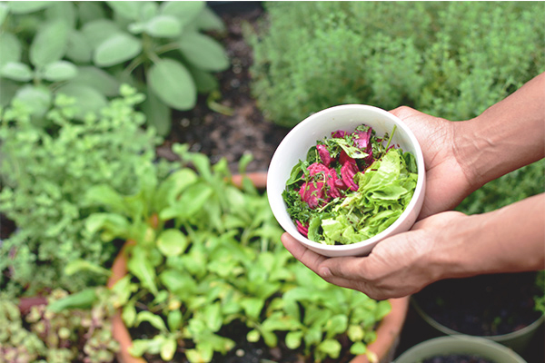 vegetable-gardening-in-containers-2-.jpg