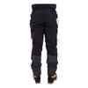 Clogger Ember Chainsaw Pants Back