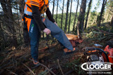 Everything You Need to Know About Chainsaw Pants & Chaps in Canada