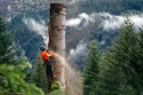 The Real Risks of Overheating in Chainsaw Pants and Chaps: What Canadian Crews Need to Know