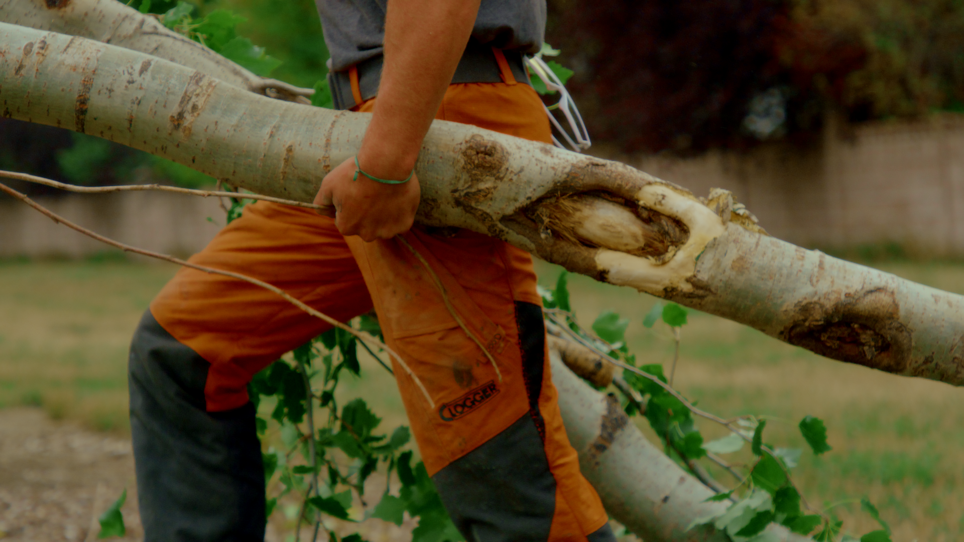 Chainsaw Pants & PPE Canada | Clogger Safety Gear for Arborists