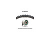 DAYCO 95143K1 TIMING BELT KIT