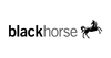 BLACK HORSE MBTMT0112 MAX T BULL BAR+BLKMBTMT0112