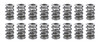 CCA Valve Spring Sets