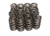 COMP CAMS 2691516 BEEHIVE WIRE SPRINGS