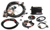 HOLLEY 550602 ECU & HARNESS LS1