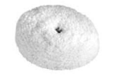 Chicago Pneumatic CPTCA158110 White Polishing Bonnet 3-.50in. for CPT7201P Chicago Pneumatic CPTCA158110 White Polishing Bonnet 3-.50in. for CPT7201P