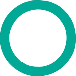 FJC FJC4215 FJC FJ Nissan Compressor Discharge Flange O-Ring