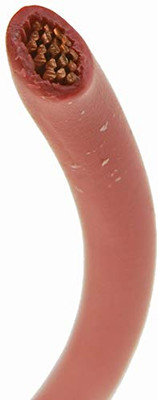 DORMAN 85748 WIRE SPL RED 12 GA 100