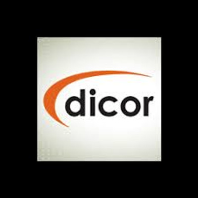 DICOR CORPORATION CPMMR320S MOLD & MILDEW REMOVER 32OZ. SPRAY