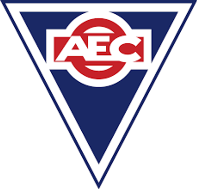 ASSOCIATED EQUIPMENT CORP AE610824 CONSUMER 40A DC CABLE ASSEMBLY