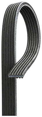 GATES CORP DK060725 V-RIBBED BELT GATES CORP DK060725 V-RIBBED BELT