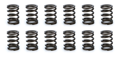 CCA Valve Spring Sets