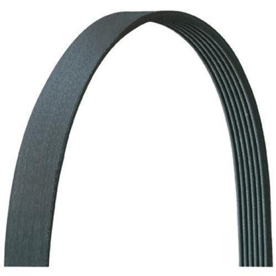 DAYCO 5050445DR V-RIBBED BELT
