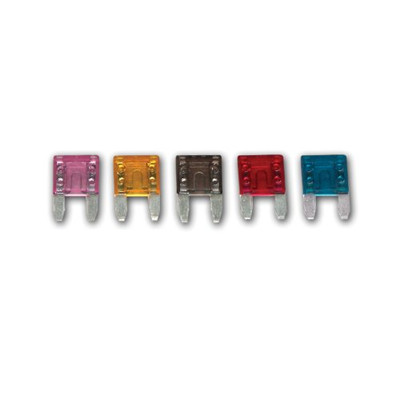 WIRTHCO 24100 SMART FUSE MINIFUSE 5PACK